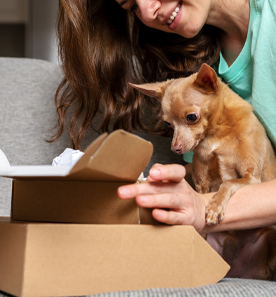 dog with owner opening boxes