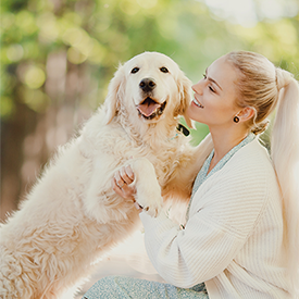 Golden Retriever with Lady Owner