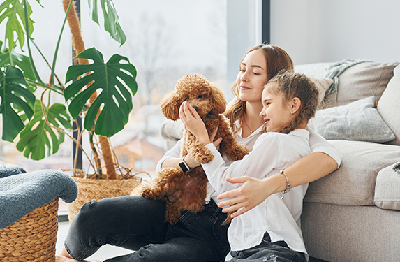 small poodle type dog with family