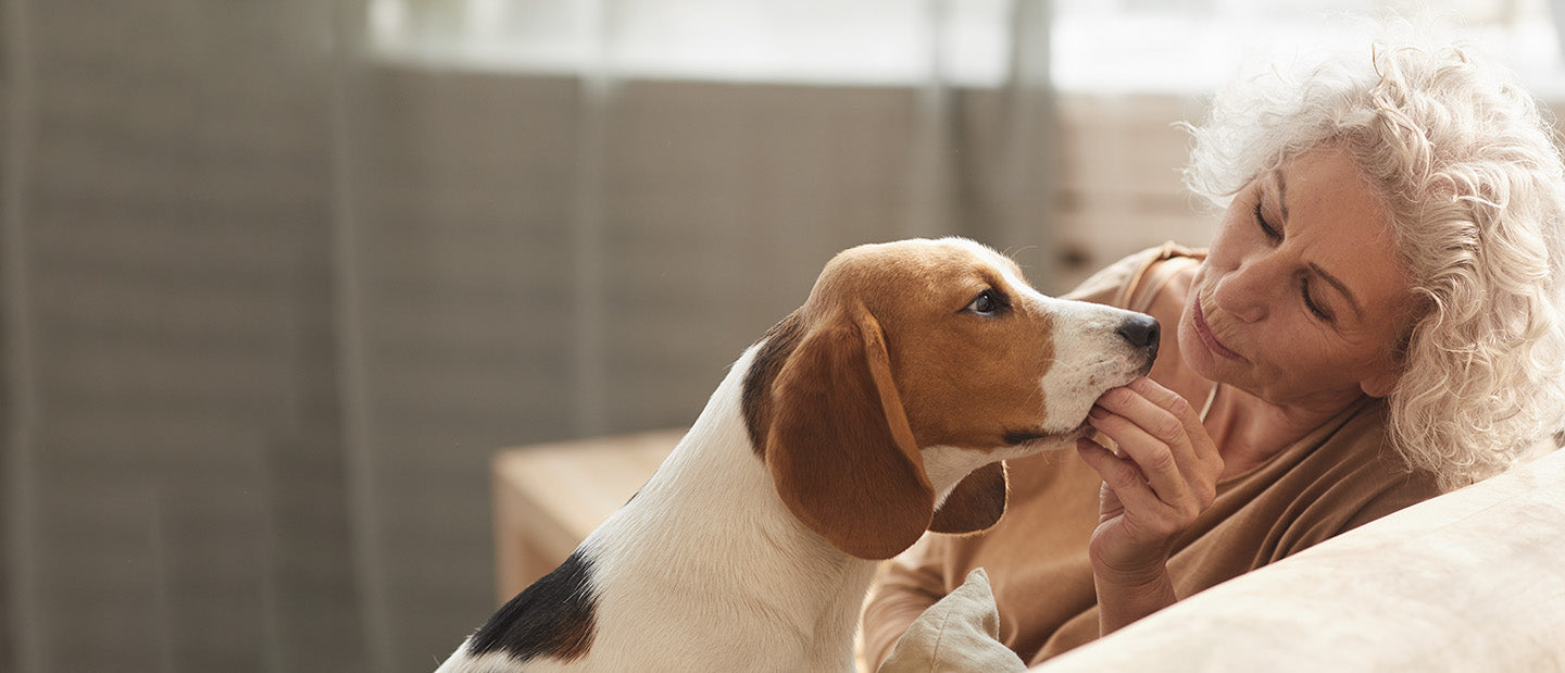 older lady with beagle dog