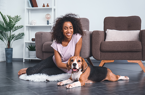 beagle with lady owner near sofa