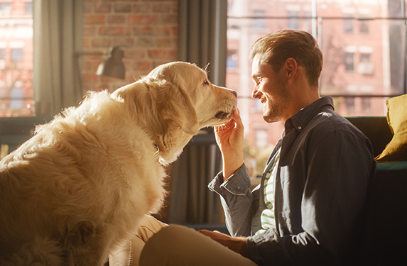 retriever dog with male owner