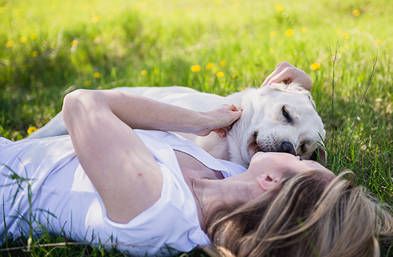 Labrador and lady in a meadow