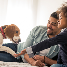 small dog with family