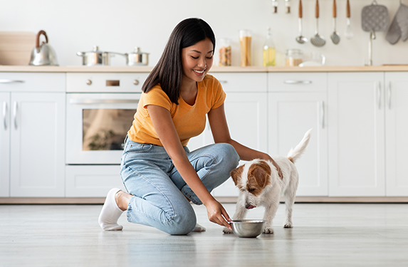 terrier eating from steel bowl