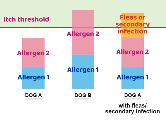 itch threshold schema