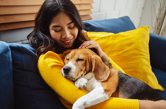 beagle dog with lady owner