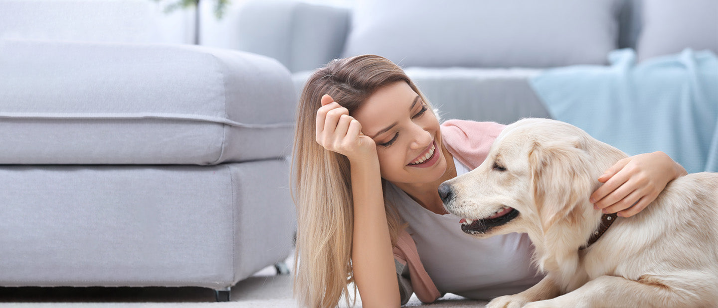 Retriever Dog with Lady Owner