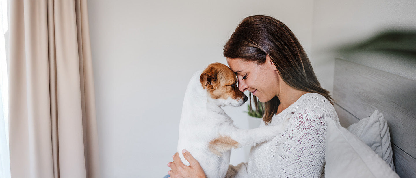 terrier with lady owner