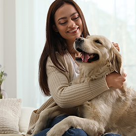 Happy Golden Retriever