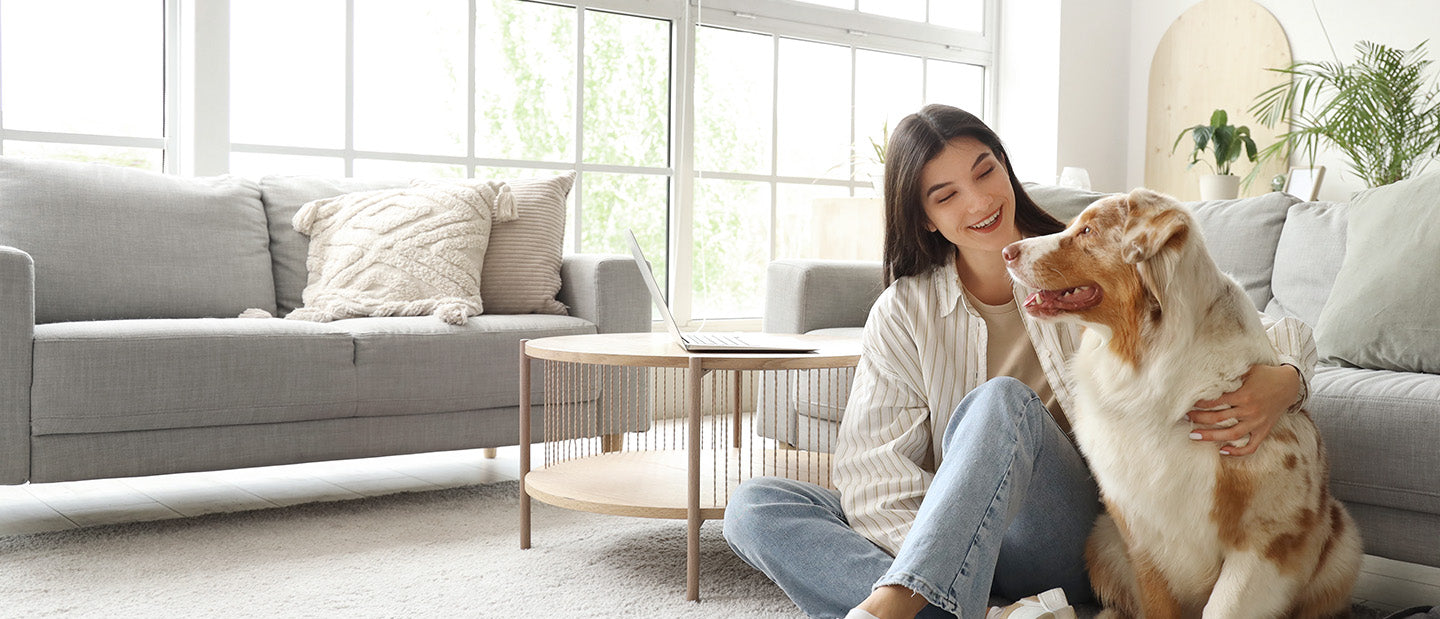large collie dog with lady owner