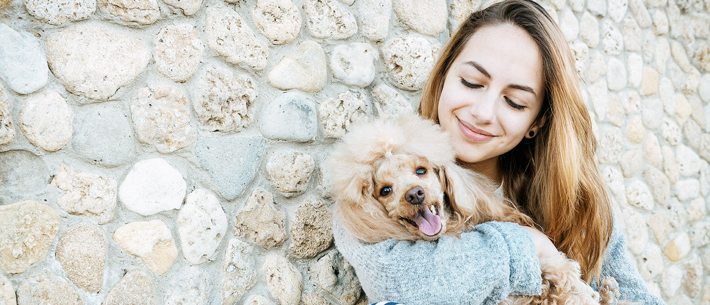 poodle dog with lady owner