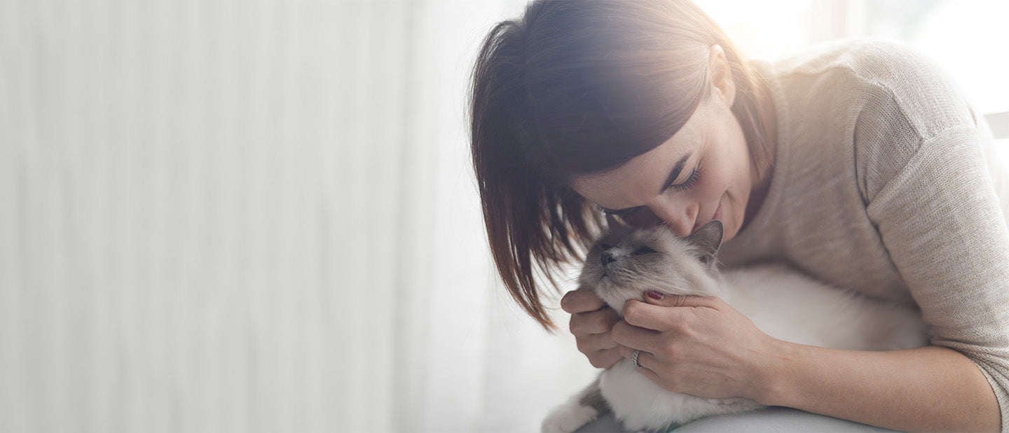 lady holding silver cat