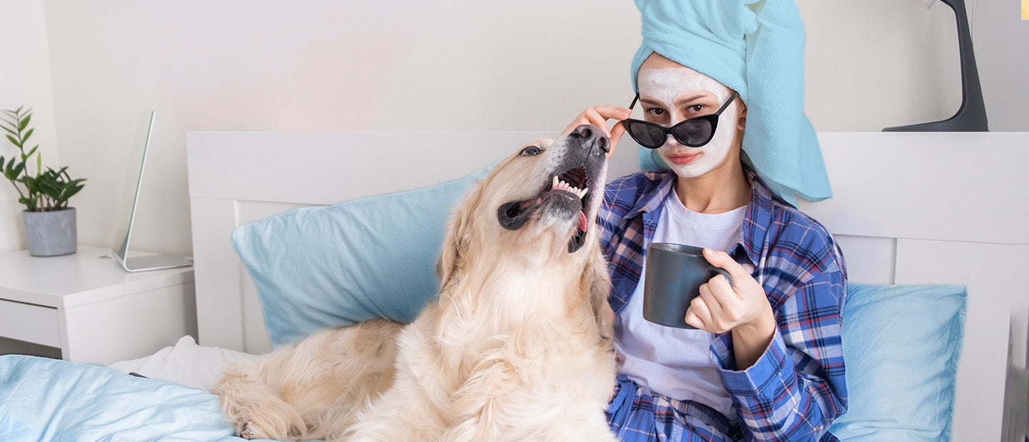 Happy Golden Retriever with Owner