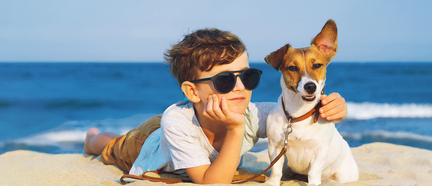 dog with boy on beach