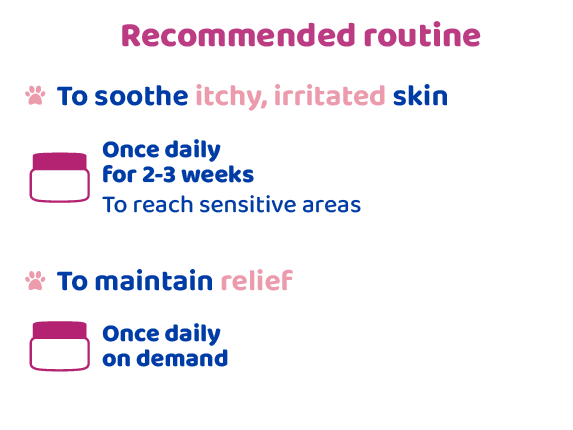 Routine to use Calm Pads