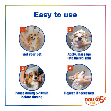 Complete Antibacterial, Antifungal Bundle