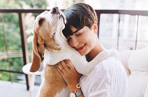 older dog cuddles lady owner