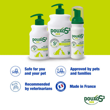 Anti-Dandruff Bundle