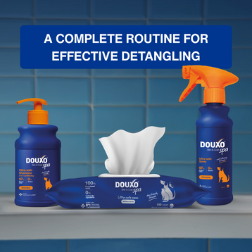 Detangling Bundle