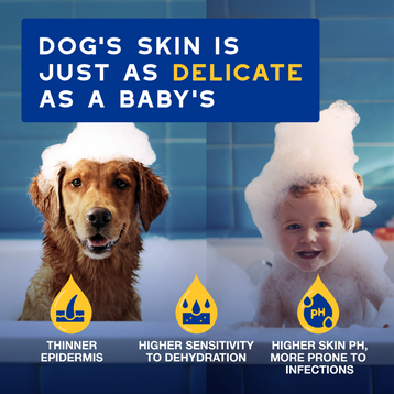 Hydrate & Shine Bundle