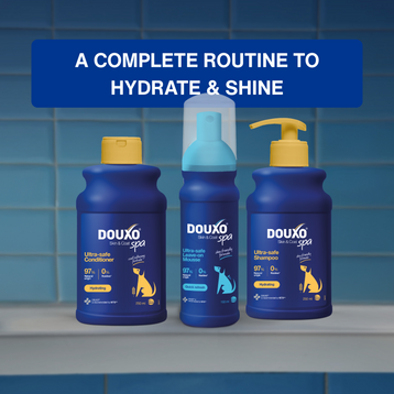Hydrate & Shine Bundle
