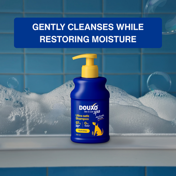 Hydrate & Shine Bundle