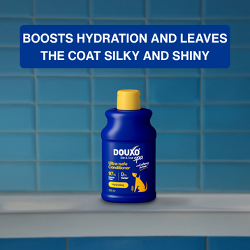 Hydrate & Shine Bundle