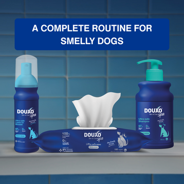 Odour Control Bundle