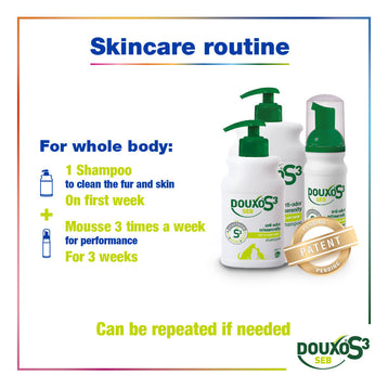 Anti-Dandruff Bundle