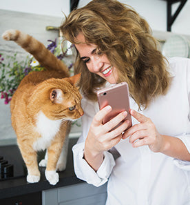 cat and lady looking at mobile phone