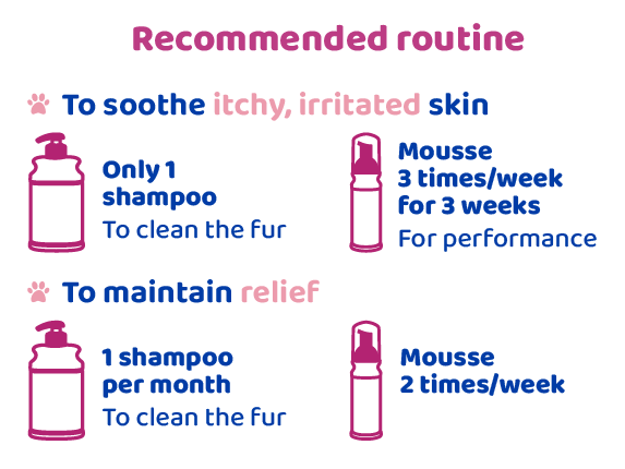 Calm Product Routine for Itchy pet