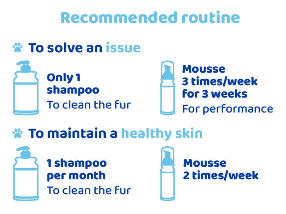 skincare routine guide
