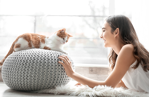ginger cat on cushion with owner
