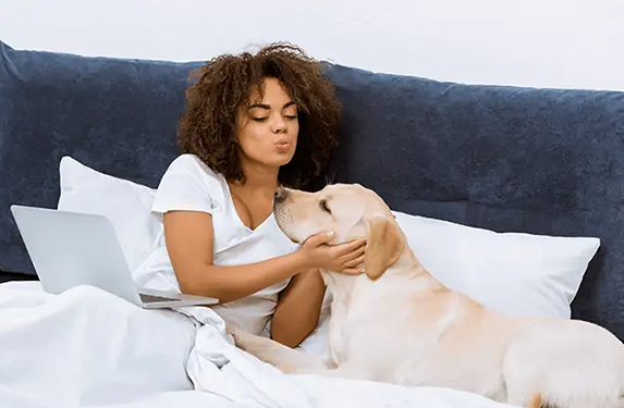 lady on bed with labrador and laptop