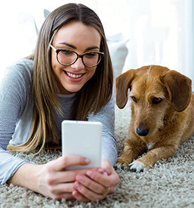 dog and lady owner looking at mobile phone