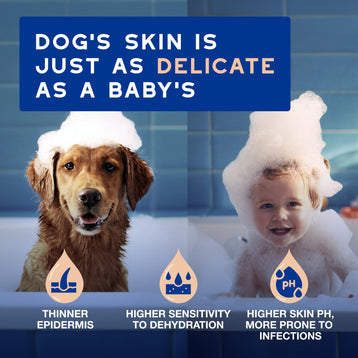 DOUXO® SPA Shed Control Shampoo