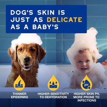 DOUXO® SPA Hydrating Oatmeal Shampoo