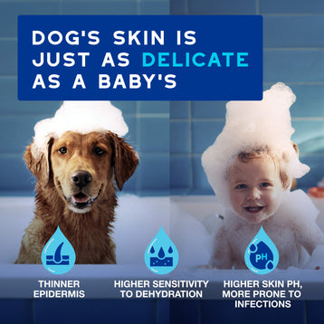 DOUXO® SPA Quick Refresh Dog Mousse