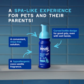 DOUXO® SPA Quick Refresh Dog Mousse