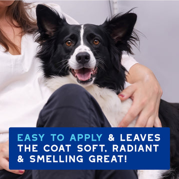 DOUXO® SPA Quick Refresh Dog Mousse