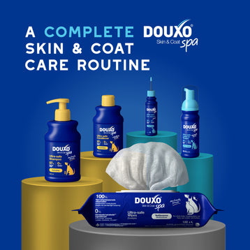 DOUXO® SPA Quick Refresh Dog Mousse