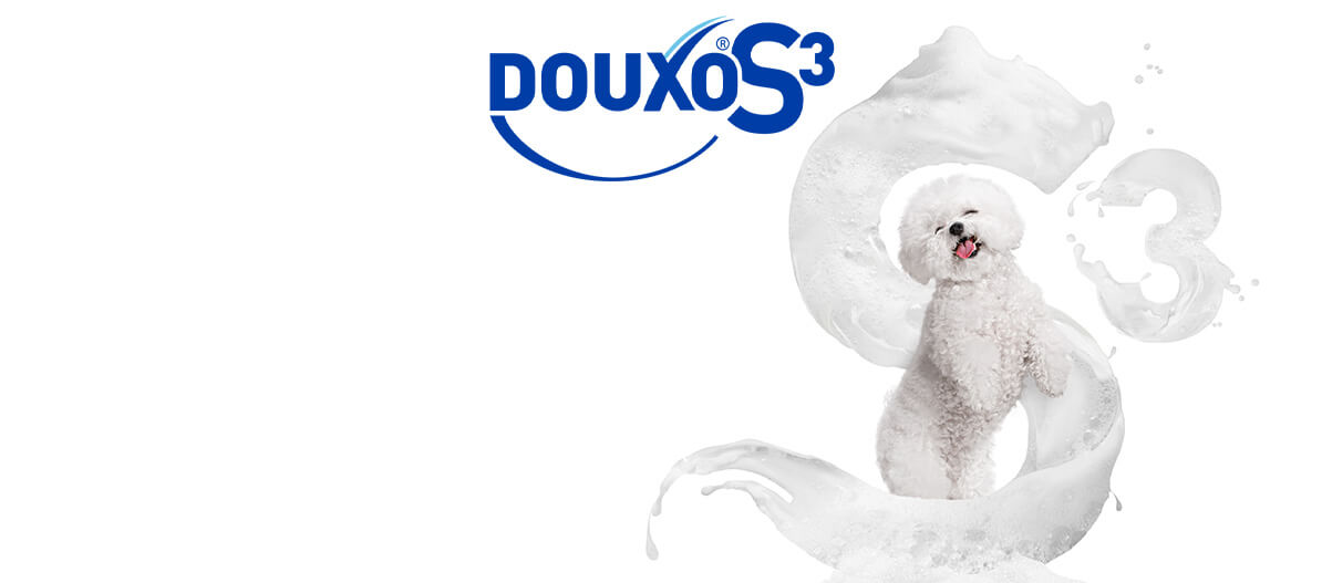 DouxoS3 White dog