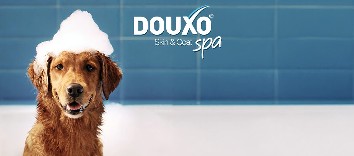 DOUXO Spa dog in bath