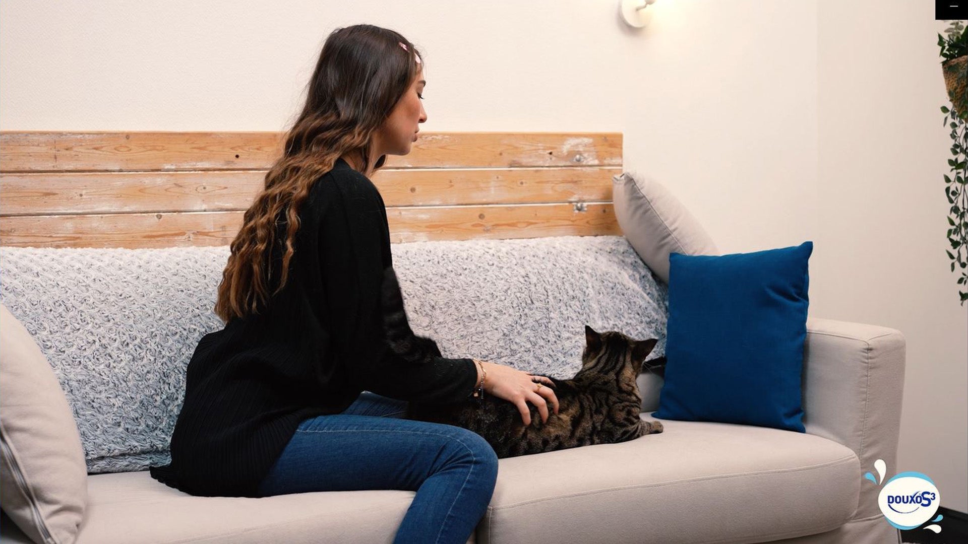 How to apply leave in mousse on a cat