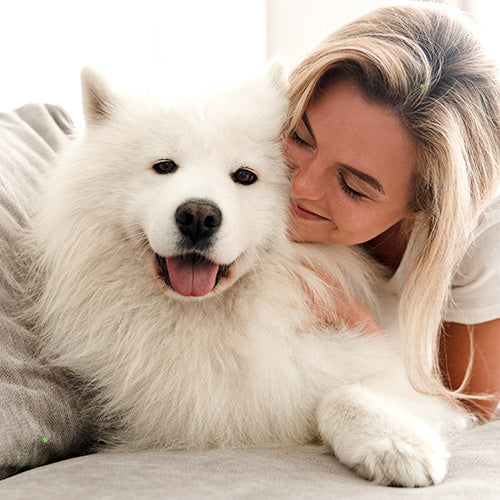 white dog with lady owner