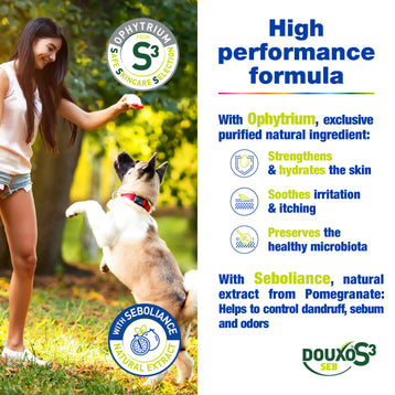 Anti-Dandruff Bundle