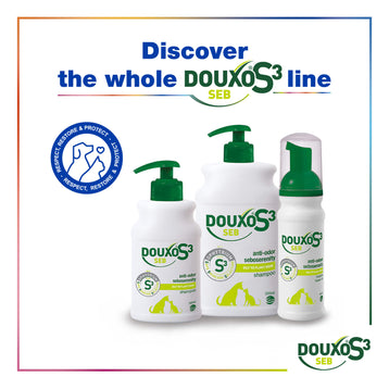 Anti-Dandruff Bundle