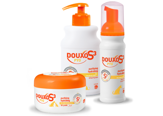 PYO pads shampoo and mousse