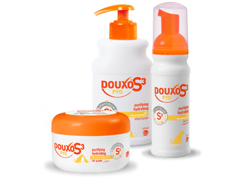 PYO pads shampoo and mousse